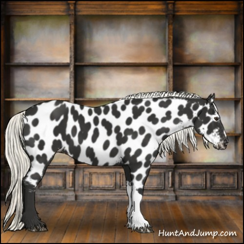 Horse Color:Liver Chestnut Mushroom Near Leopard