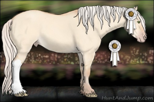 Horse Color:Silver Amber Champagne Dun 