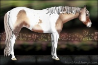 Horse Color:Silver Brown Onyx Tobiano 