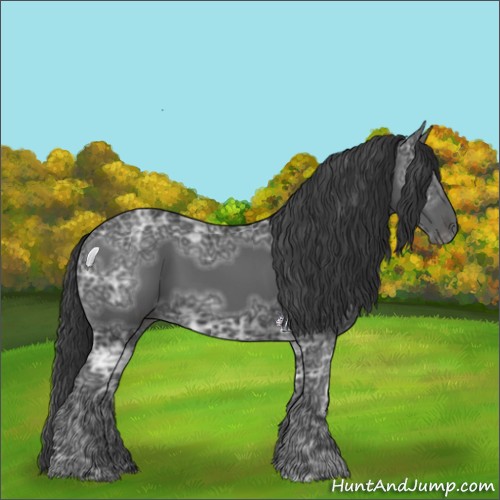 Horse Color:Black Ice 