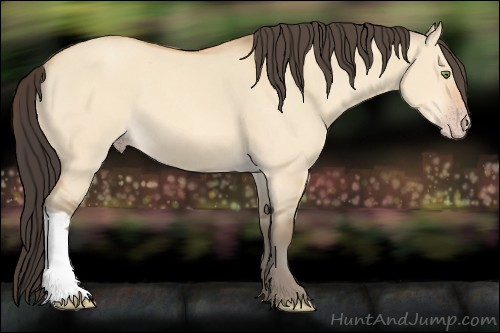 Horse Color:Amber Champagne Dun 