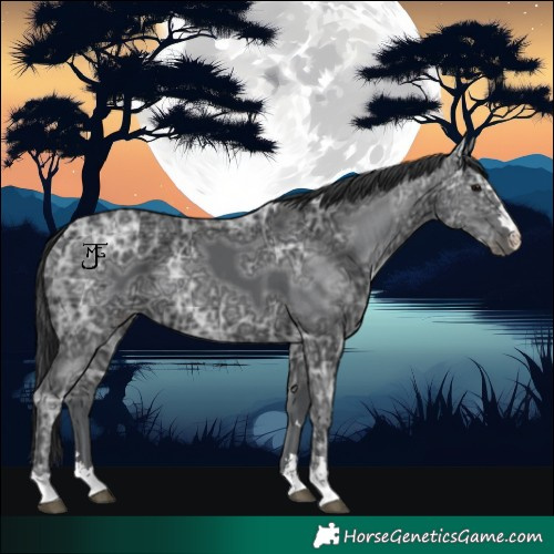 Horse Color:Black Ice 