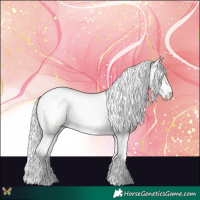 Horse Color:Cremello Dun 