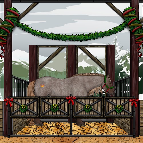 Horse Color:Liver Red Roan Rabicano