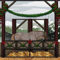 Horse Color:Liver Red Roan Rabicano 