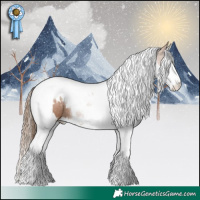 Horse Color:White Spotted Black Pearl Splash Tobiano Rabicano