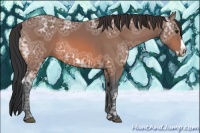 Horse Color:Bay Ice Frame 