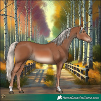 Horse Color:Chestnut Mushroom 