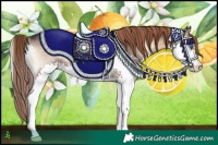 Horse Color:Liver Red Onyx Splash 