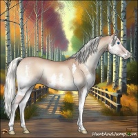 Horse Color:Red Onyx Mushroom Splash 