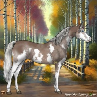 Horse Color:Liver Chestnut Mushroom Splash 