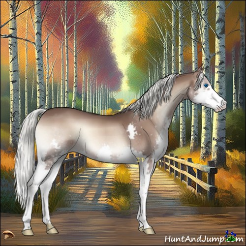 Horse Color:Liver Red Onyx Mushroom Splash 