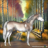 Horse Color:Liver Red Onyx Mushroom Splash 