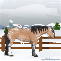 Horse Color:Bay Ice 