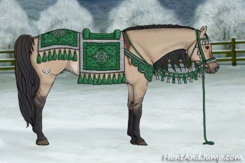 Horse Color:Brown Dun 