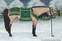 Horse Color:Brown Dun 