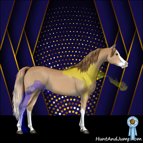 Horse Color:Chestnut Splash 