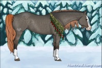 Horse Color:Liver Red Dun Splash Rabicano 