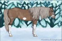 Horse Color:Silver Brown Dun Splash Frame 