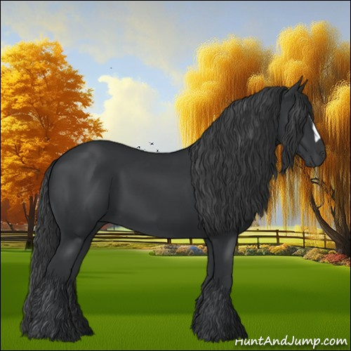 Horse Color:Black 
