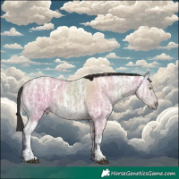 Horse Color:Platinum White Spotted Bay Ice 