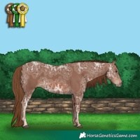 Horse Color:Chestnut Ice 