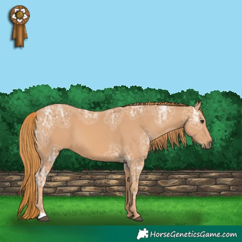 Horse Color:Chestnut Ice 
