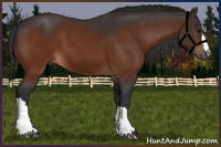 Horse Color:Brown 