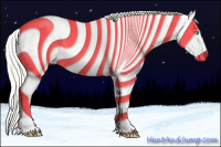 Horse Color:Cremello Splash  and Cremello Dun Splash 