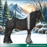 Horse Color:Brown Tobiano 