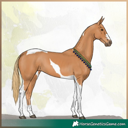 Horse Color:Chestnut Tobiano 