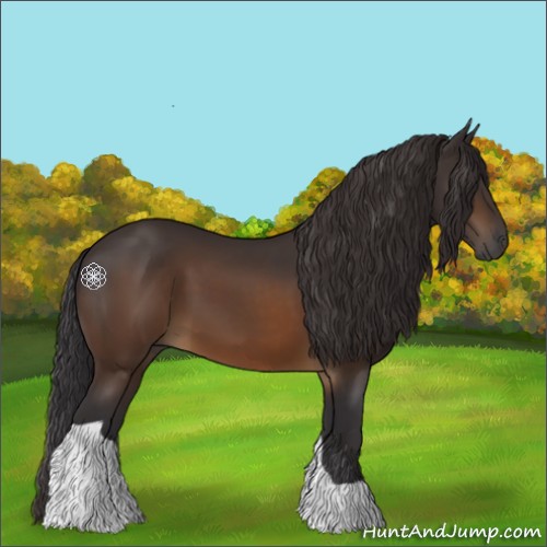 Horse Color:Buckskin Tobiano