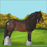 Horse Color:Buckskin Tobiano 