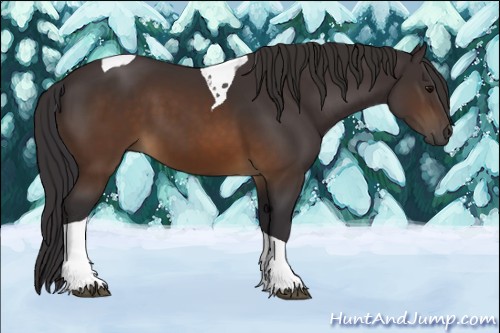 Horse Color:Buckskin Tobiano 