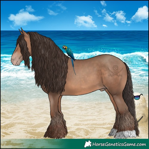 Horse Color:Sable Champagne 