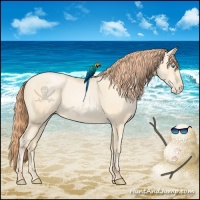 Horse Color:Amber Cream Champagne Pearl 