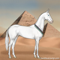 Horse Color:Silver Perlino Dun 