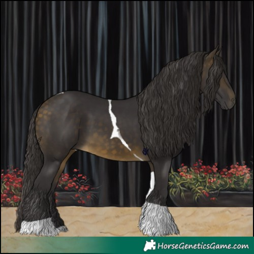 Horse Color:Buckskin Tobiano