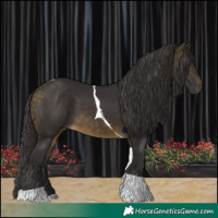 Horse Color:Buckskin Tobiano 