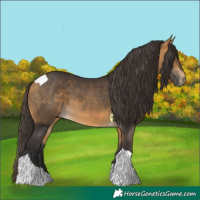 Horse Color:Buckskin Tobiano 