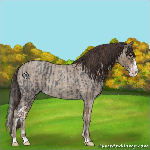 Horse Color:Blue Roan Sabino Splash  and Classic Champagne Roan Sabino Splash 
