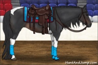 Horse Color:Brown Tobiano 