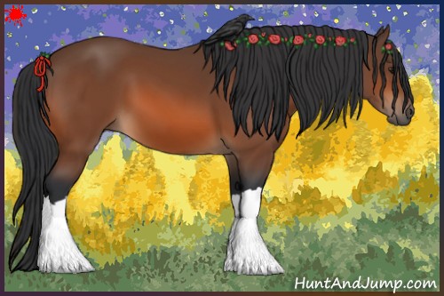 Horse Color:Bay 