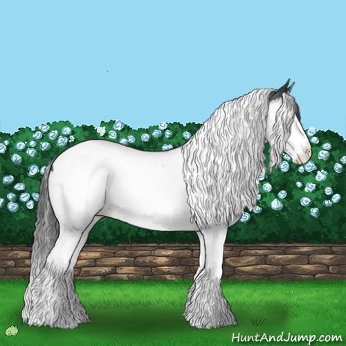 Horse Color:Blue Roan Splash Tobiano 