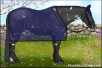 Horse Color:White Spotted Black