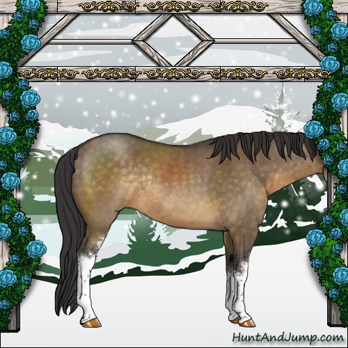 Horse Color:White Spotted Buckskin Dun Rabicano