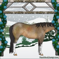 Horse Color:White Spotted Buckskin Dun Rabicano 