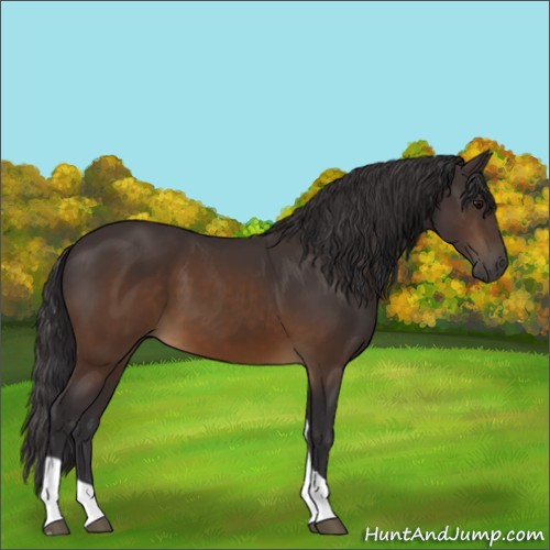 Horse Color:Buckskin Tobiano 