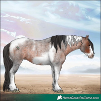 Horse Color:Bay Roan Tobiano Frame 