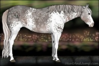Horse Color:White Spotted Silver Black Ice Splash 